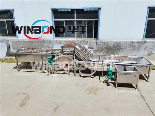 果蔬清洗设备,果蔬清洗流水线,瓜果蔬菜清洗机,净菜加工设备