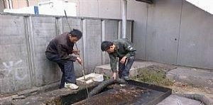 图 津南区双港新家园,金地格林专通下水道,安装马桶地漏 天津管道维修