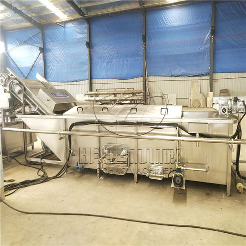 全自动毛豆粒清洗加工设备 果蔬加工成套设备