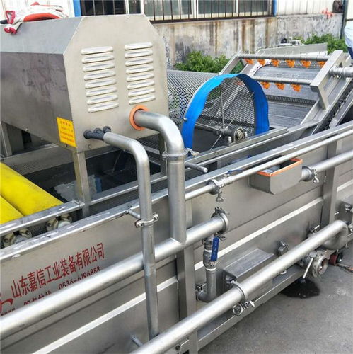 河南鲜菇气泡清洗加工机免费包邮 山东嘉信
