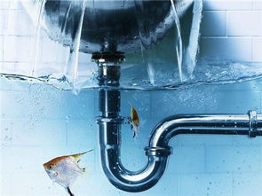 桂林雁山水管堵了怎么办