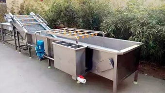 达人说丨小龙虾为啥这么干净 挑选小龙虾的攻略看这里