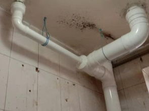 图 宁河区光明路下水道马桶疏通抽粪清洗水管安装维修改独立下水道 天津管道维修