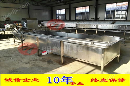 全自动毛豆清洗风干流水线 豌豆加工设备 果蔬加工成套设备