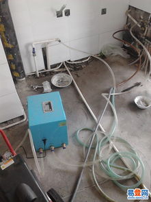 二道 八里堡易登网