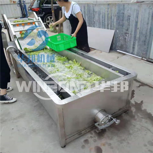 【新疆葡萄干清洗机】- 