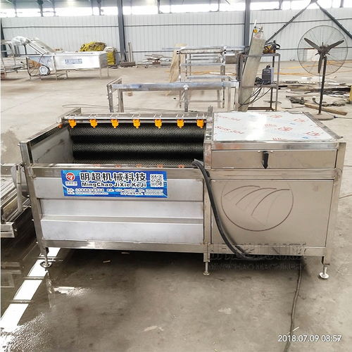 红薯干洗清洗加工设备