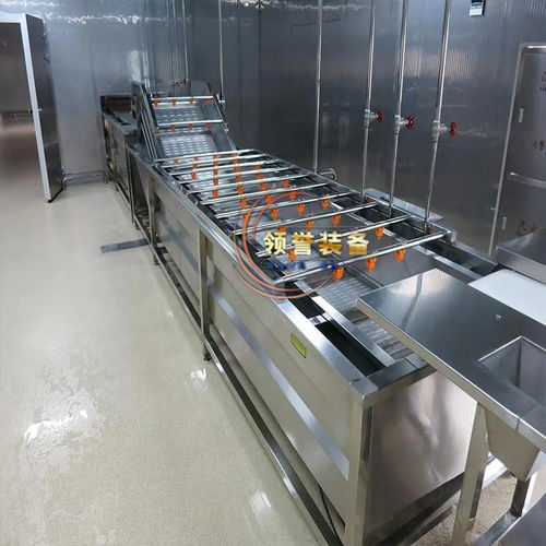 蔬菜气泡清洗机大型果蔬清洗机不锈钢洗菜机净菜加工清洗设备