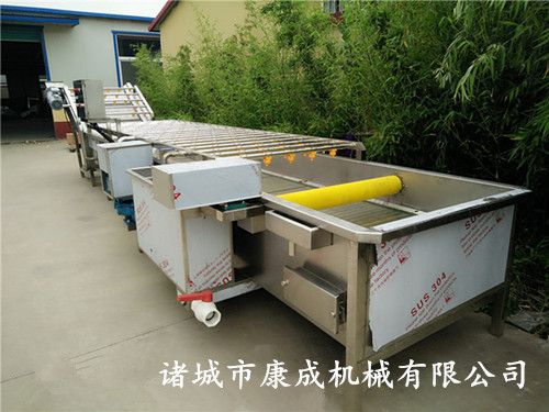 酱腌菜清洗机 芥菜清洗机 果蔬清洗设备