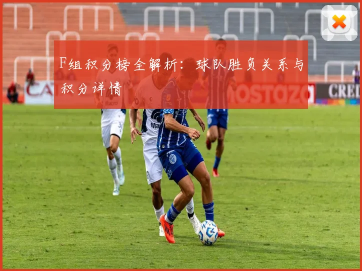 F组积分榜全解析:球队胜负关系与积分详情