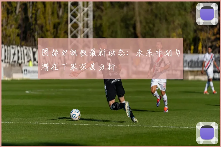 图赫尔执教最新动态：未来计划与潜在下家深度分析