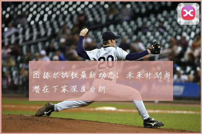 图赫尔执教最新动态：未来计划与潜在下家深度分析